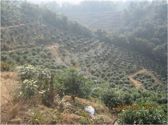 山地種植水源不便