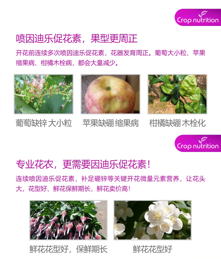 因迪樂有機促花素_05.jpg