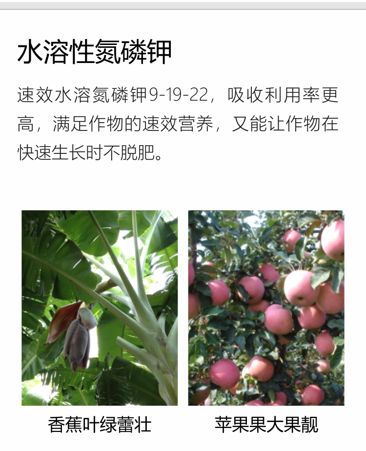 因迪樂精華粉詳情手機(jī)_04.jpg