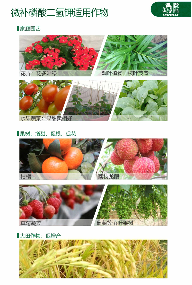 微補(bǔ)磷酸二氫鉀【官網(wǎng)】_02.jpg