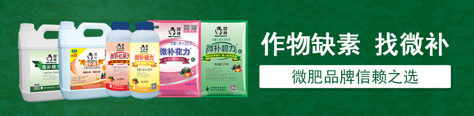 微肥廠家