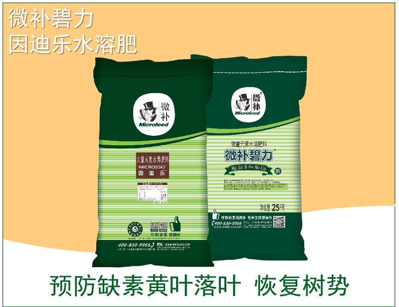 圖片5