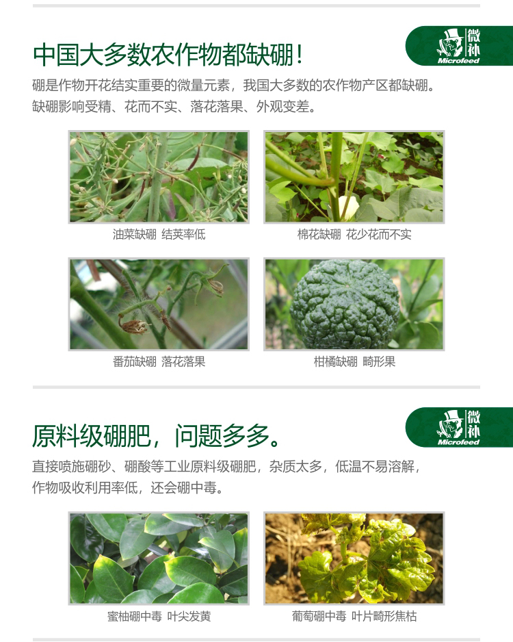微補硼力