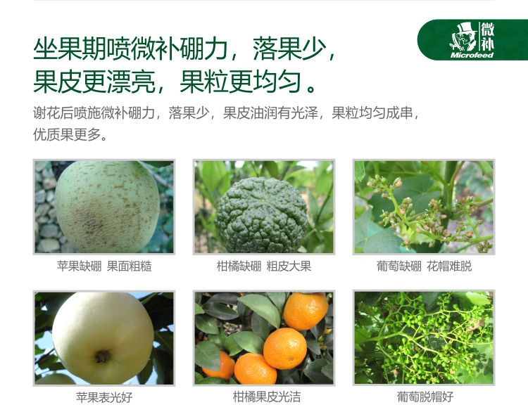 微補硼力