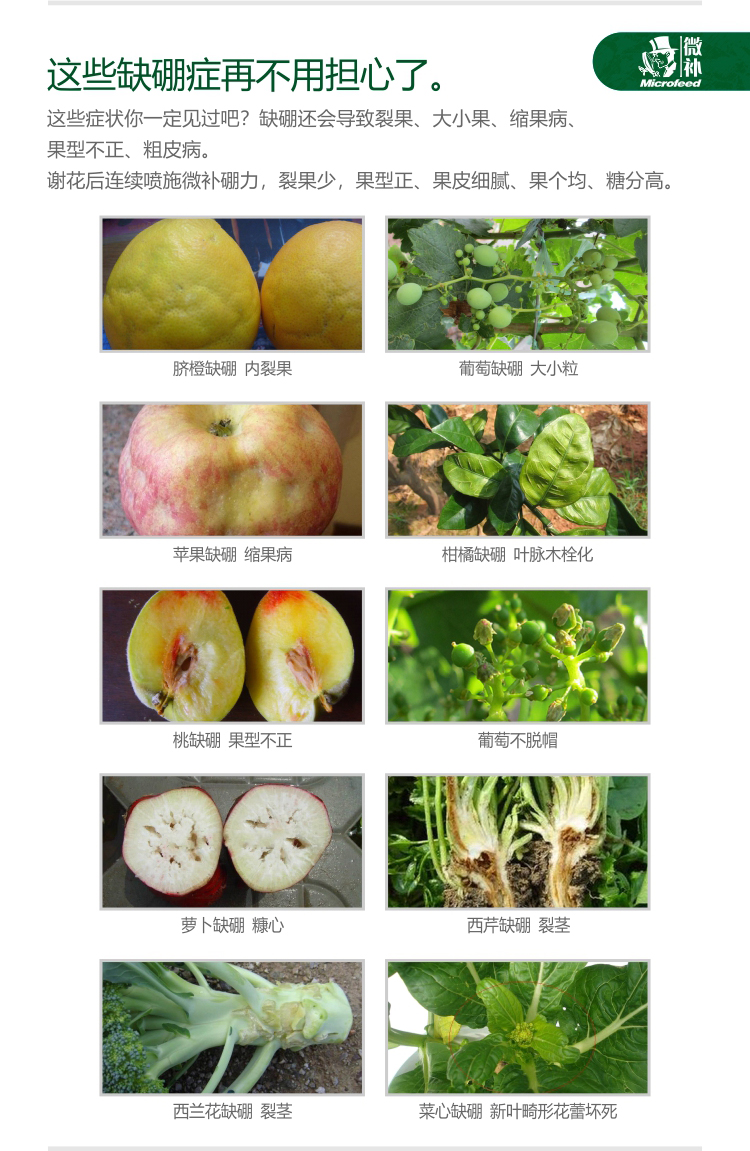 微補硼力