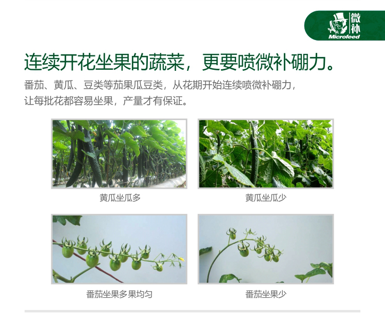 微補硼力