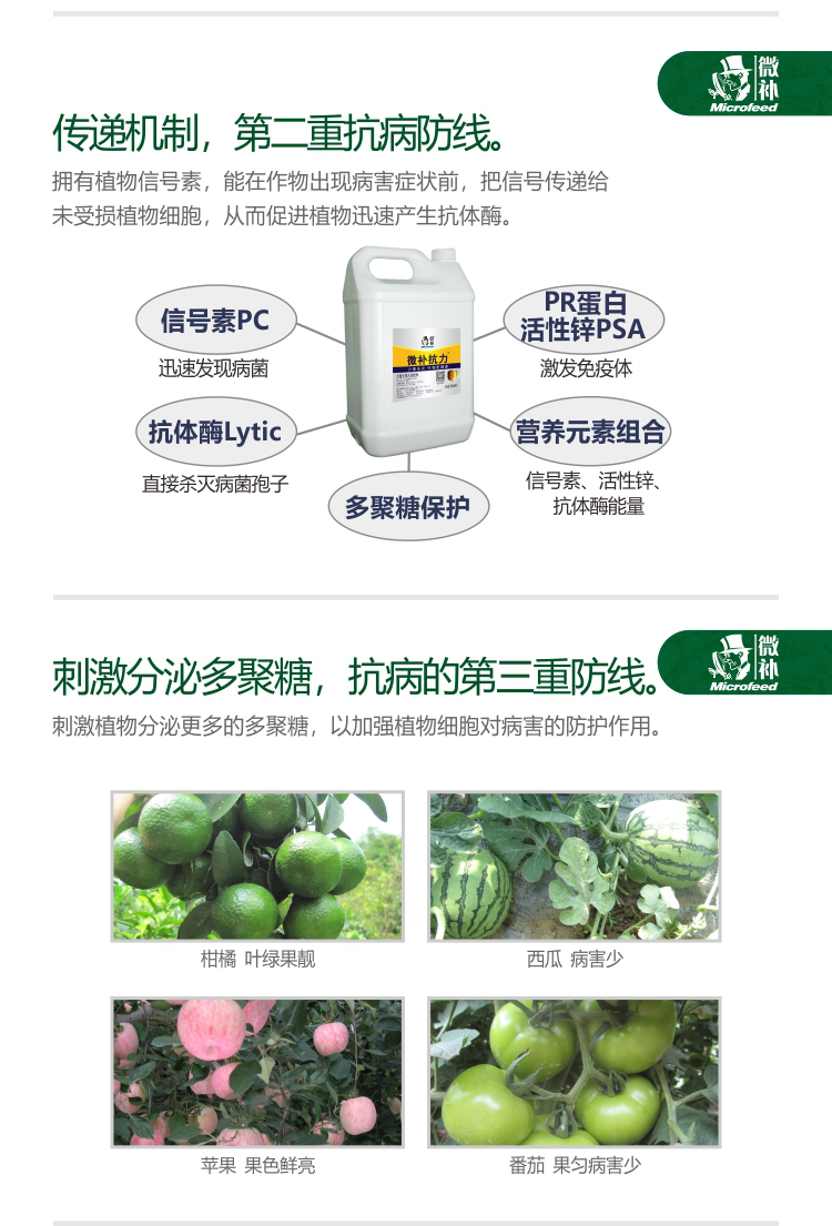微補抗力2