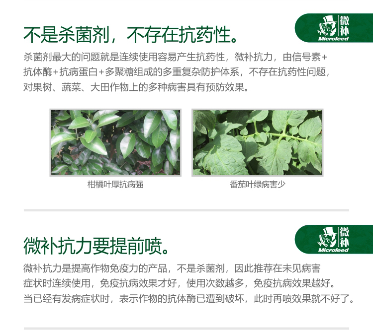 微補抗力2
