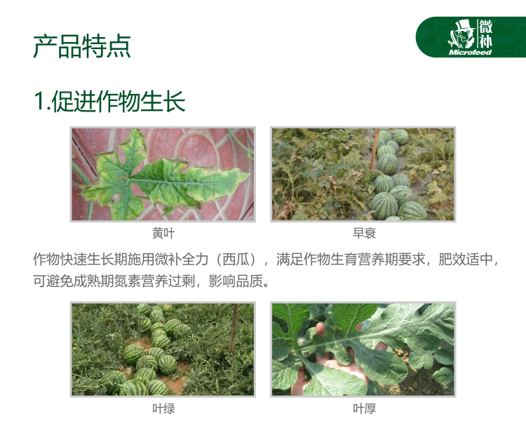 微補西瓜全力