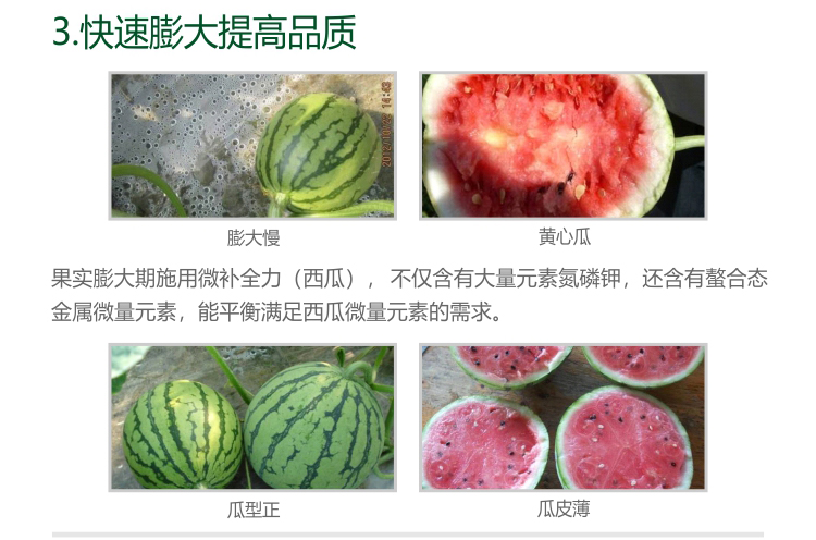 微補西瓜全力