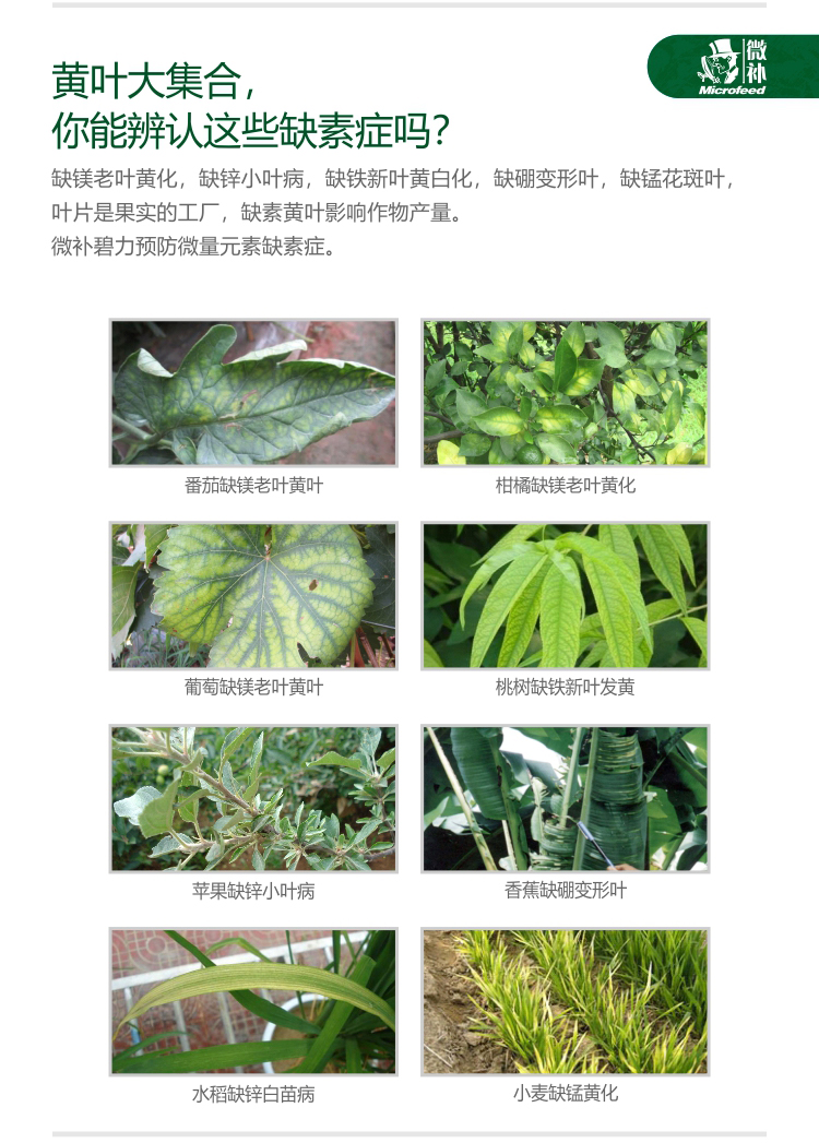 微補碧力