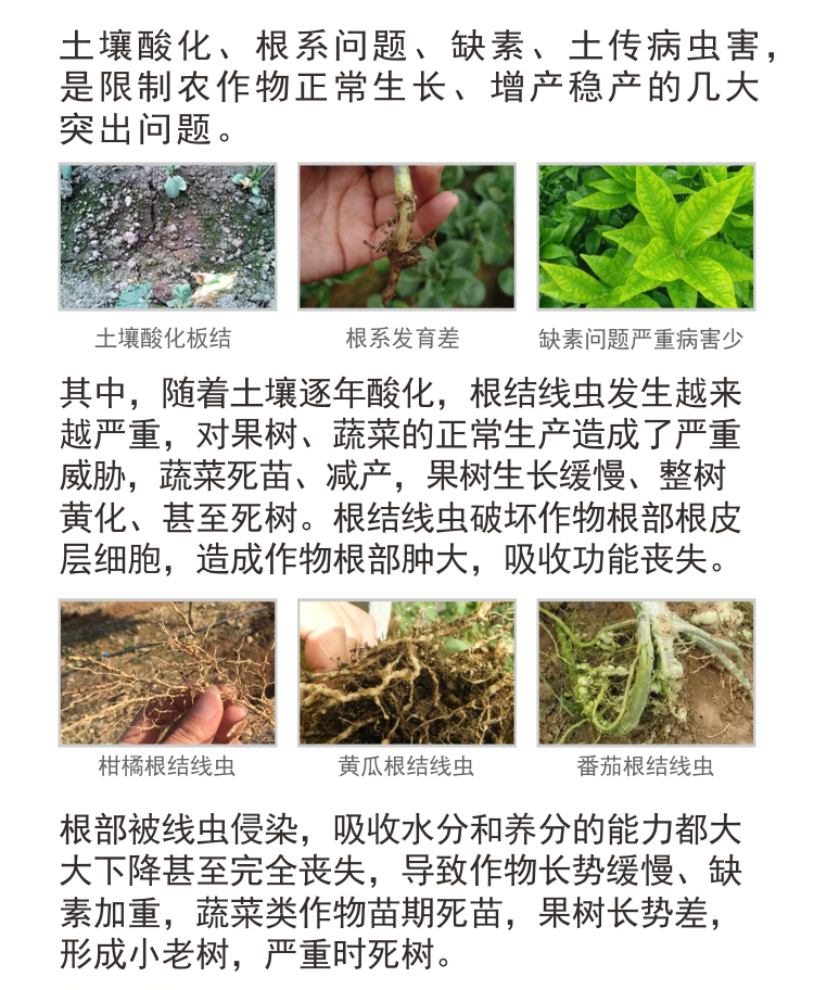BioMicro線蟲
