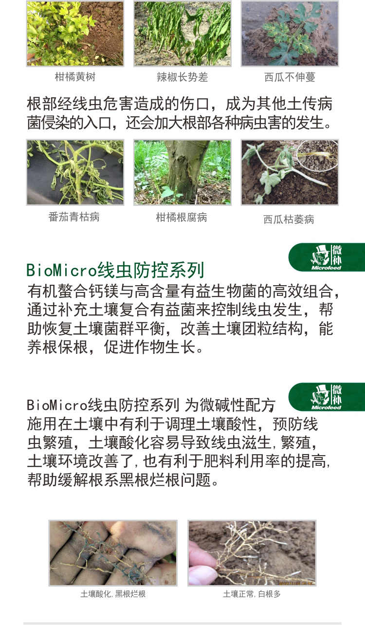 BioMicro線蟲