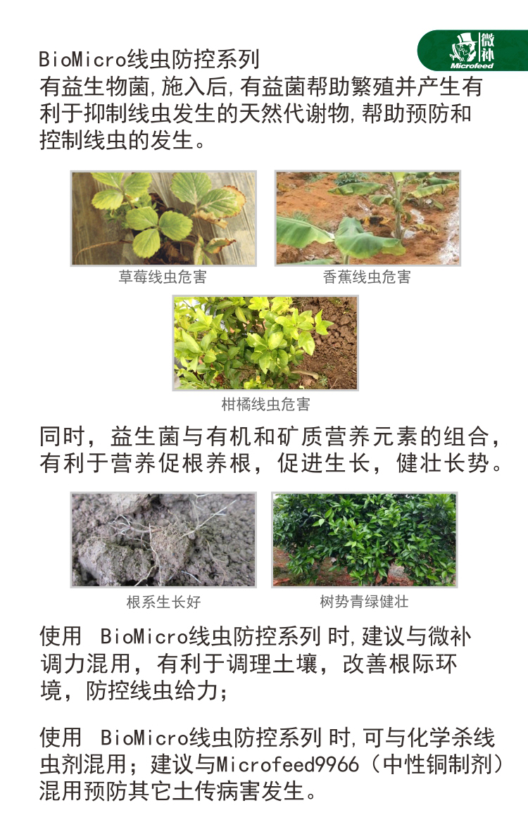 BioMicro線蟲