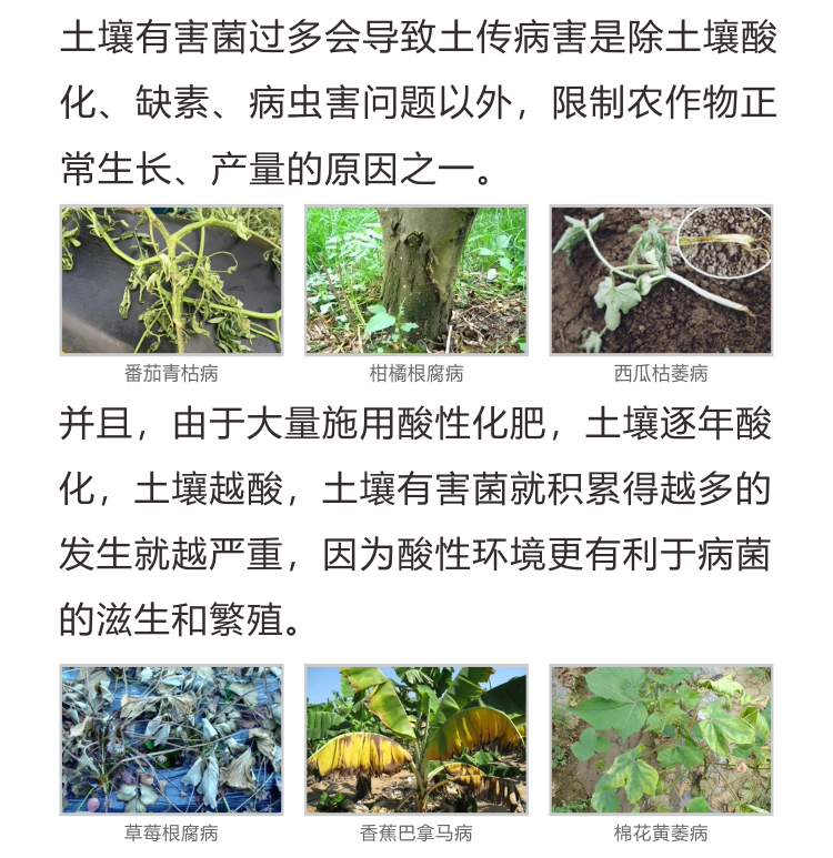 BioMicro益生菌