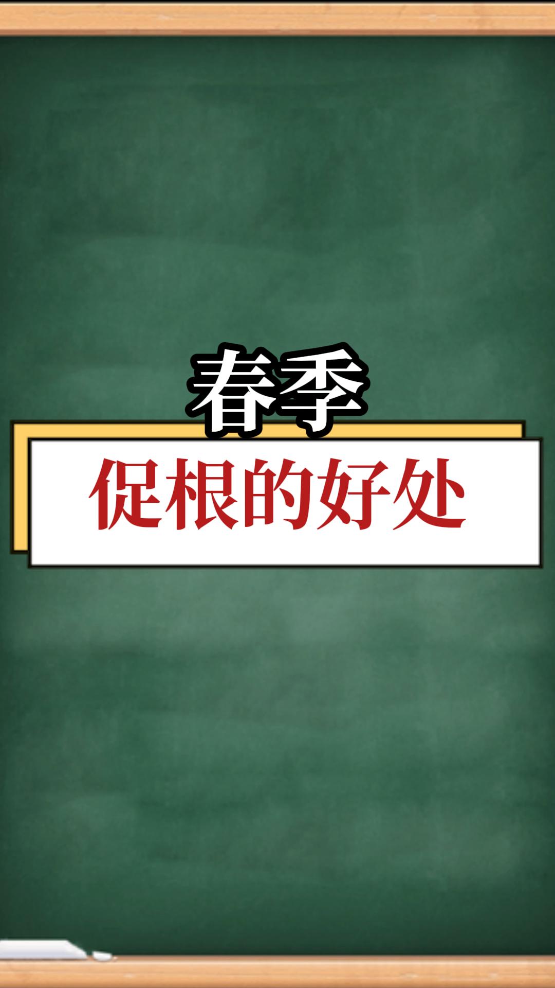 春季<i style='color:red'>促根</i>的好處