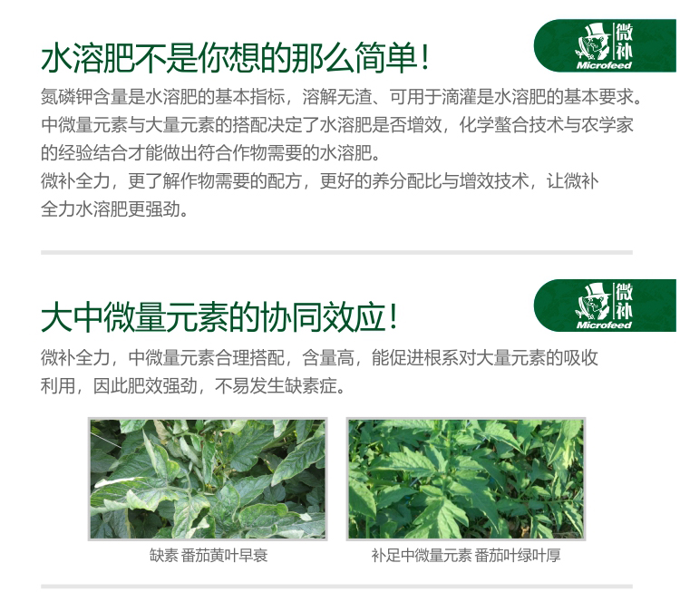 微補全力