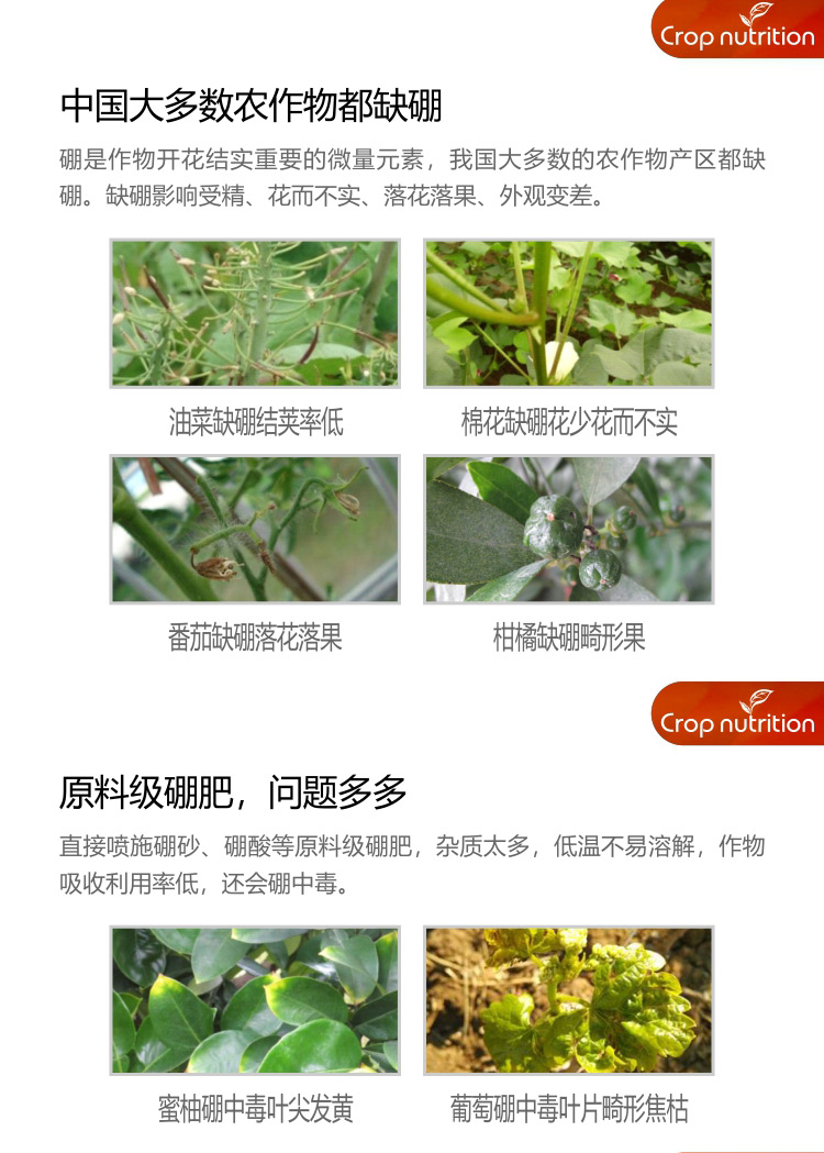 因迪樂有機(jī)海藻硼