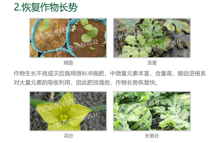 微補沖施肥