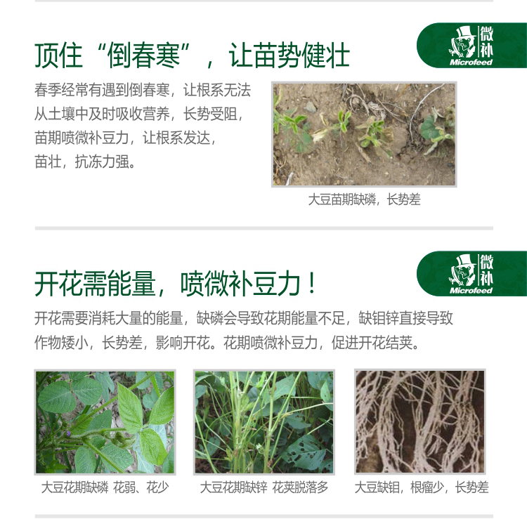 微補豆力