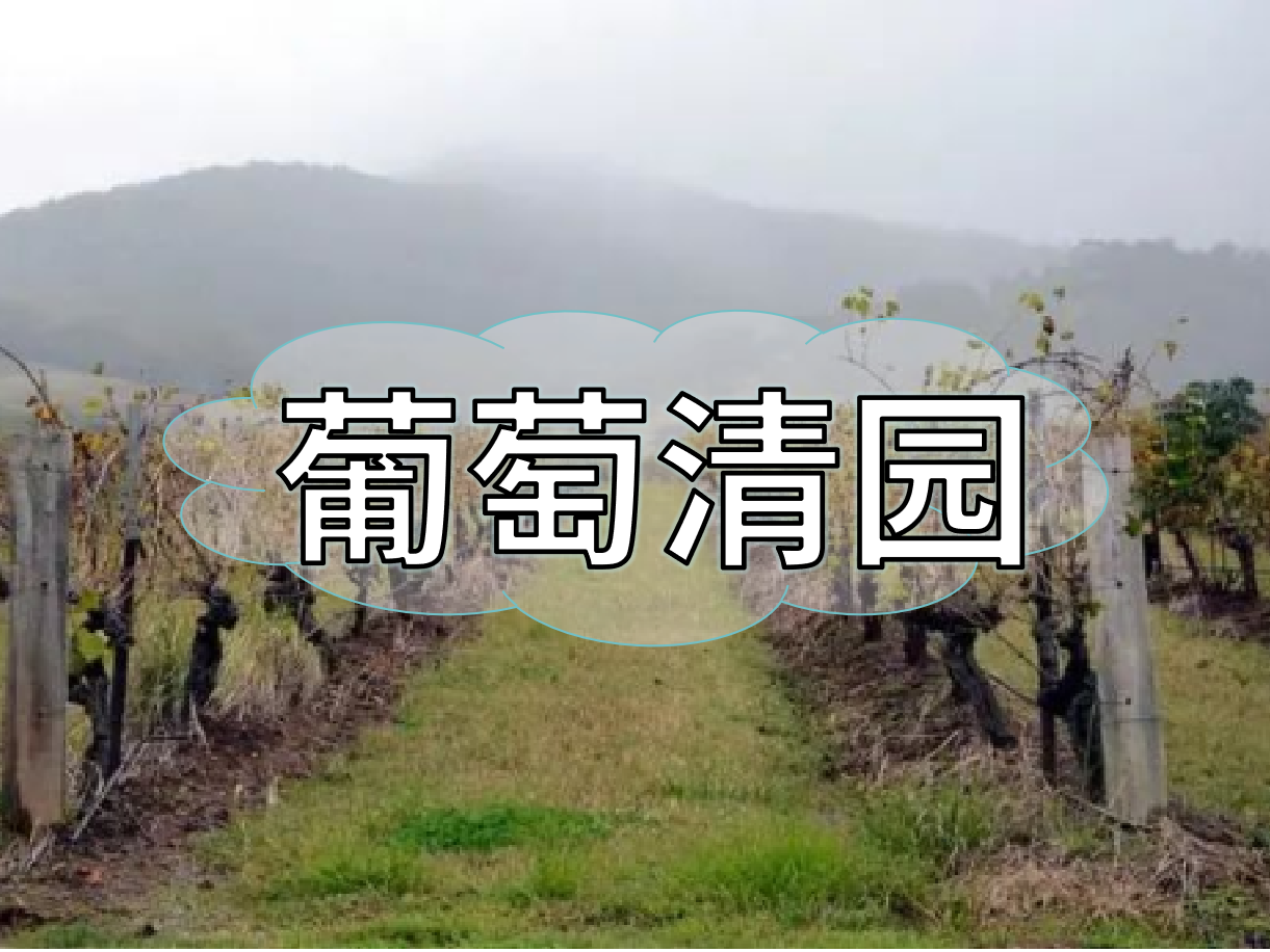 葡萄清園怎么進行？