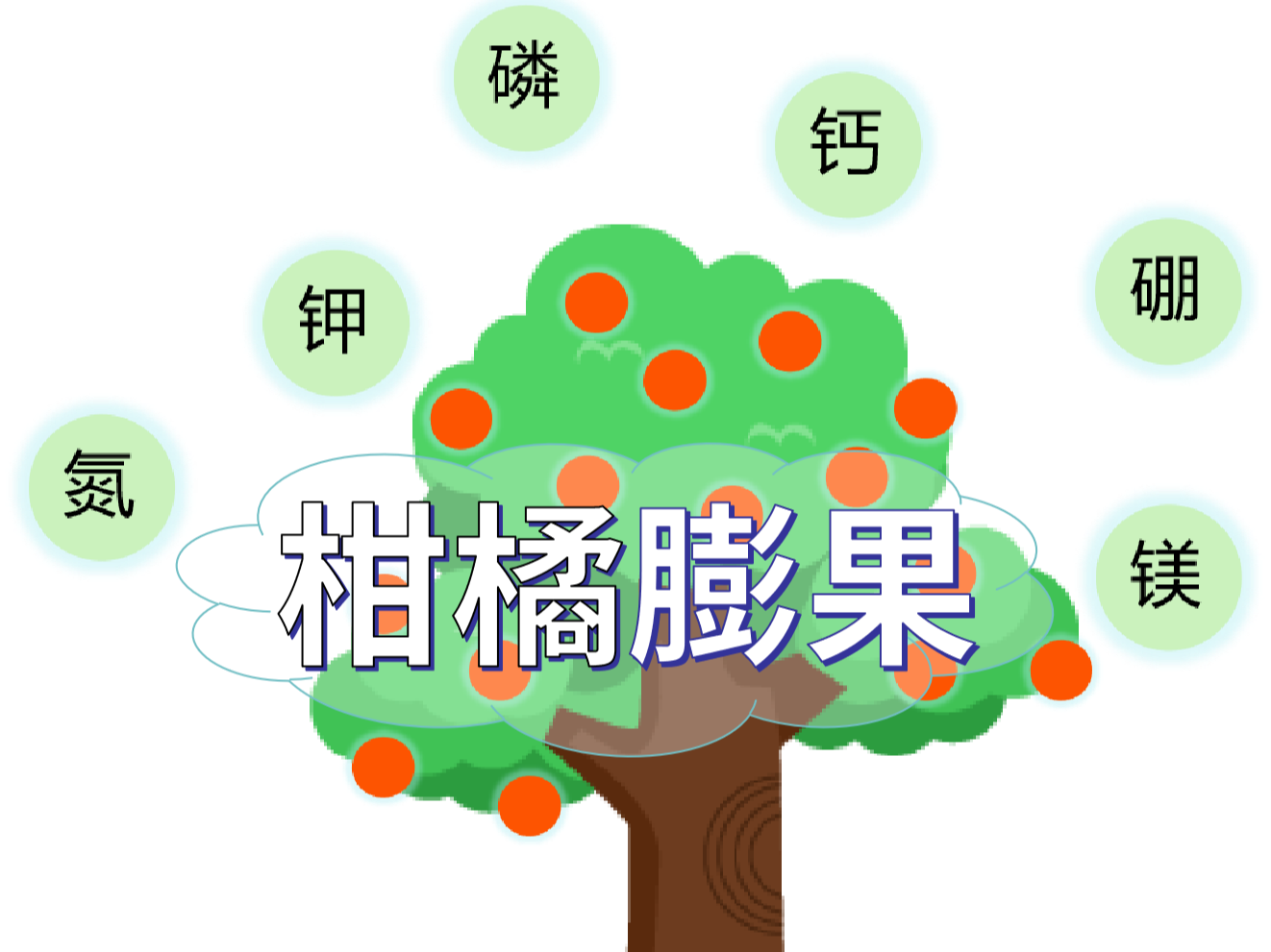 柑橘<i style='color:red'>膨果</i>慢？找準原因，“對癥下藥”