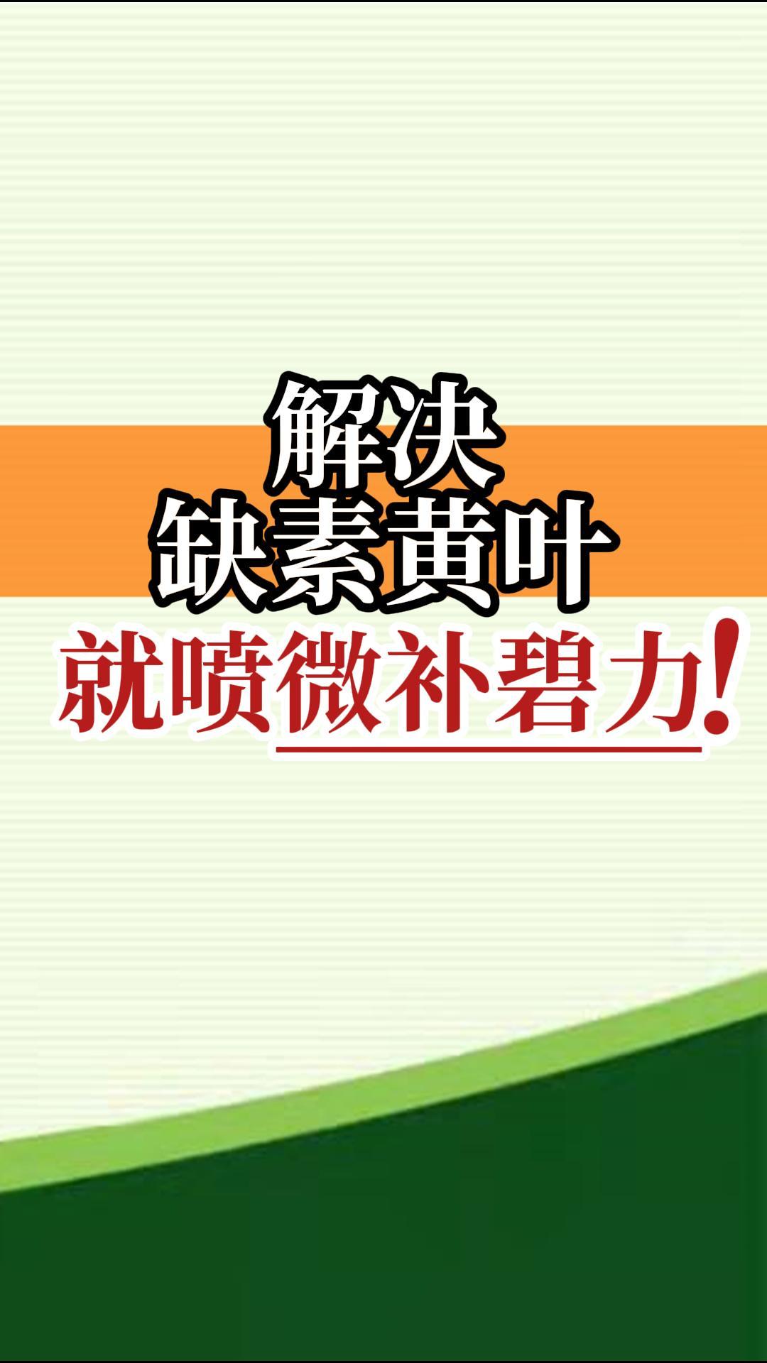 解決<i style='color:red'>缺素</i>黃葉就噴微補(bǔ)碧力！