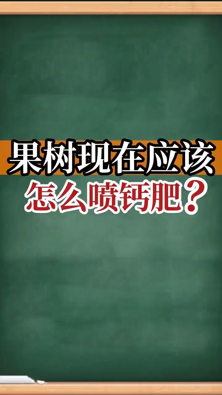 果樹現在應該怎么噴鈣肥？